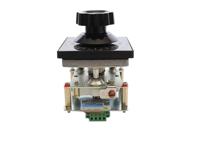 (GESSMAN)速度控制手柄(双电位器)